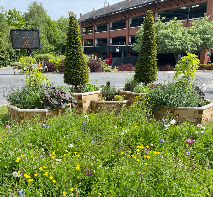 Amenity Horticulture