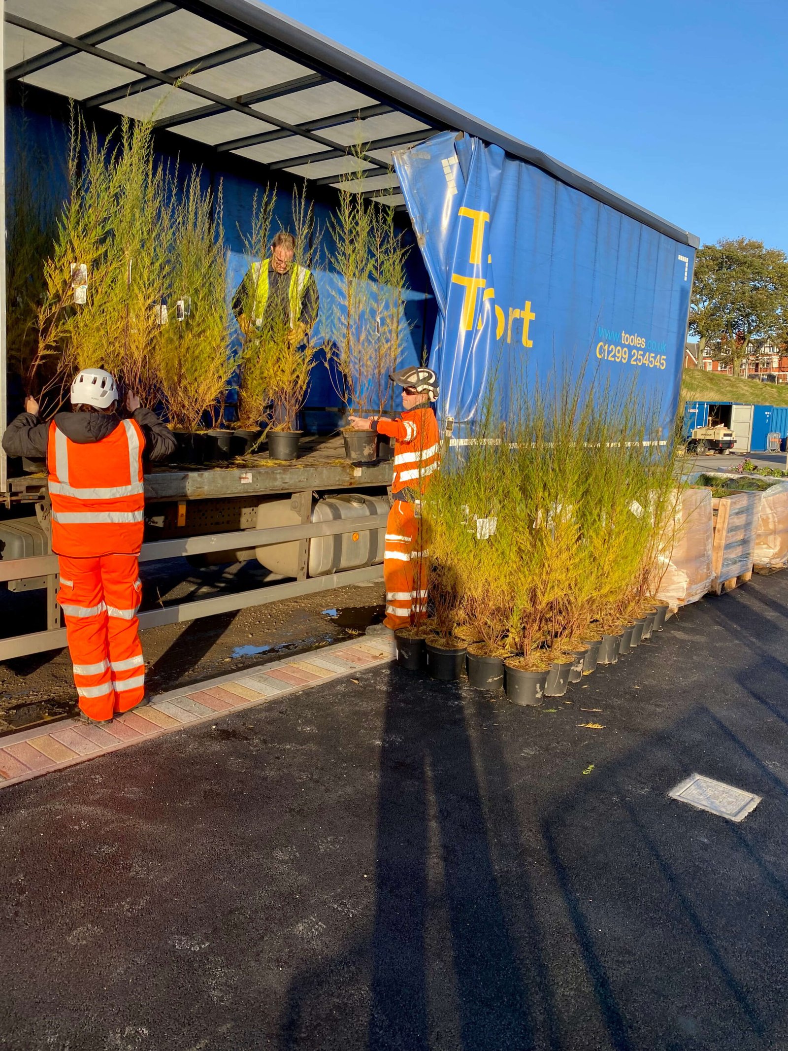 Welsh Gov Promenade Planting Scheme