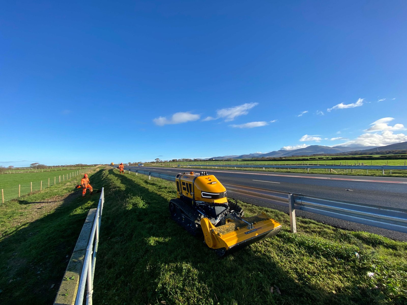 Wild Flower Maintenance Caernarfon