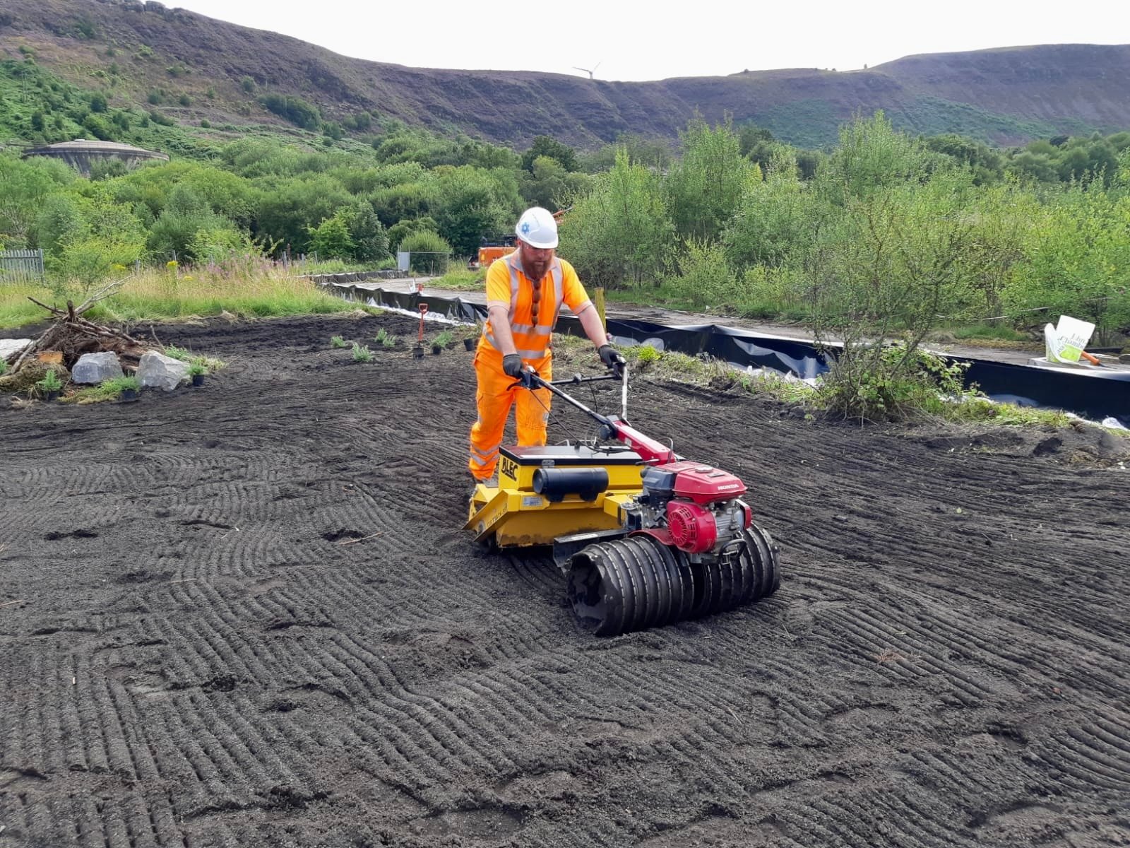 Wildflower Sowing Llanelli