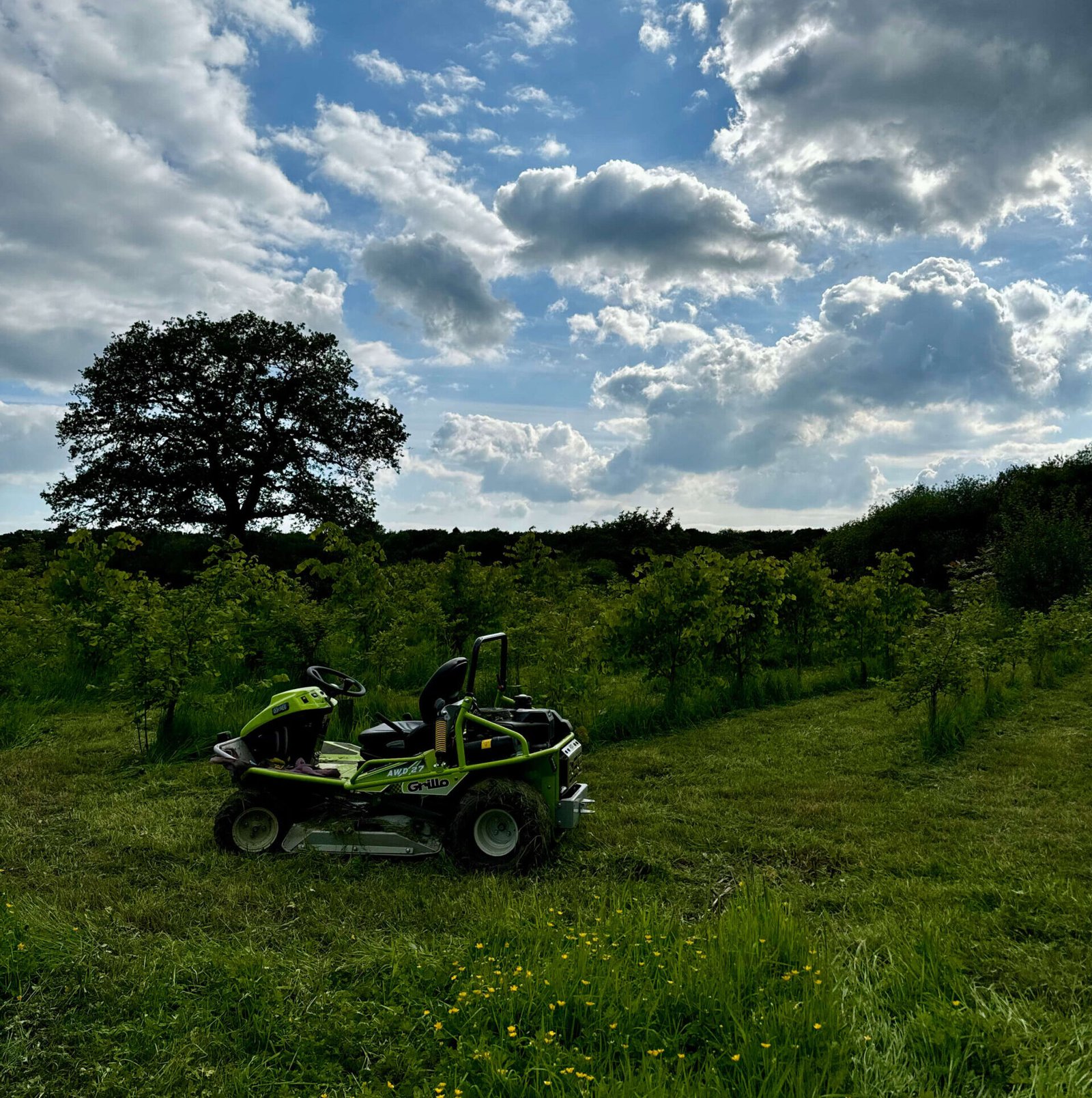 Woodland Maintenance Mowing